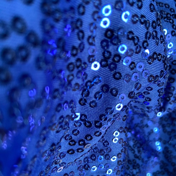 Spandex with sequins gentle 2 way stretch. - Picture 2 of 2